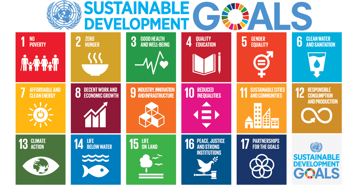 UN Sustainable Development Goals supported by SheSight Global